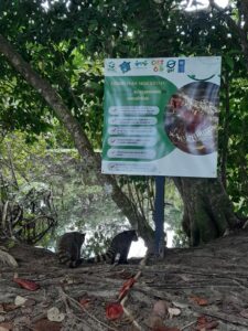 Cahuita Nationalpark